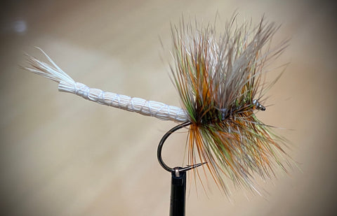 Hannon Mayfly